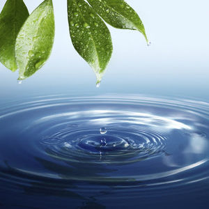 Meet your Posher, Mei